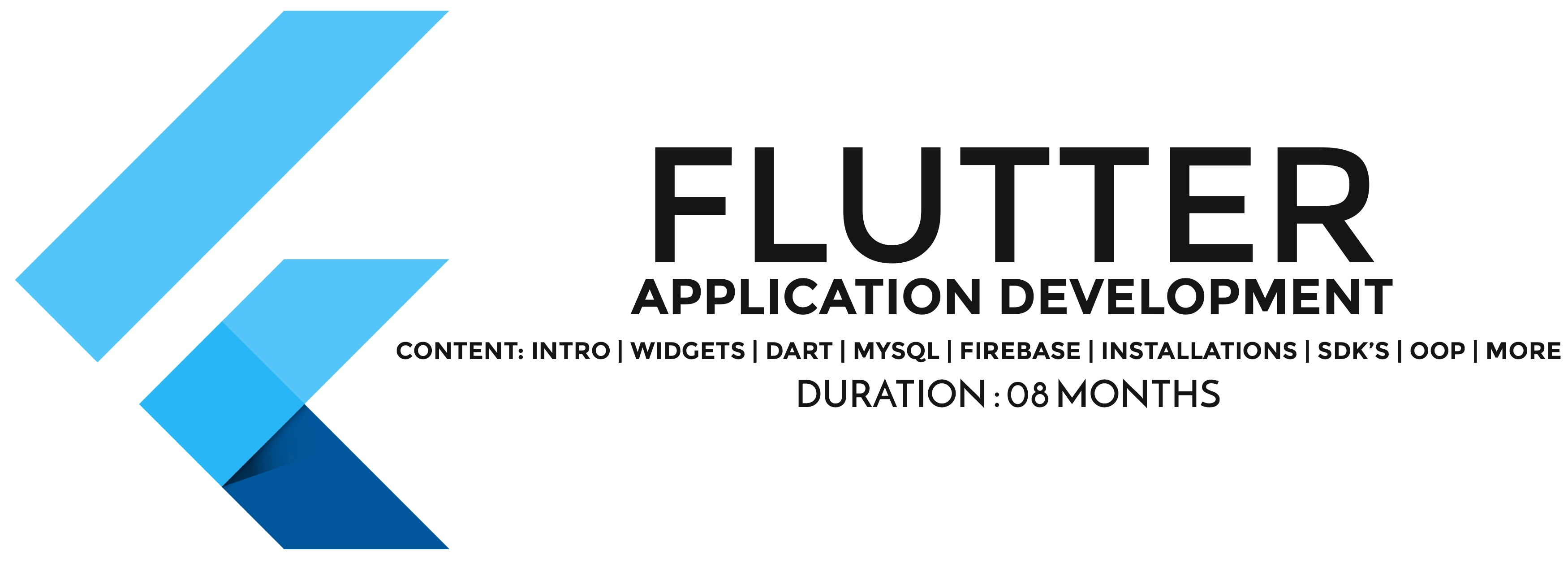 Flutter Application Development by Nweb Solution