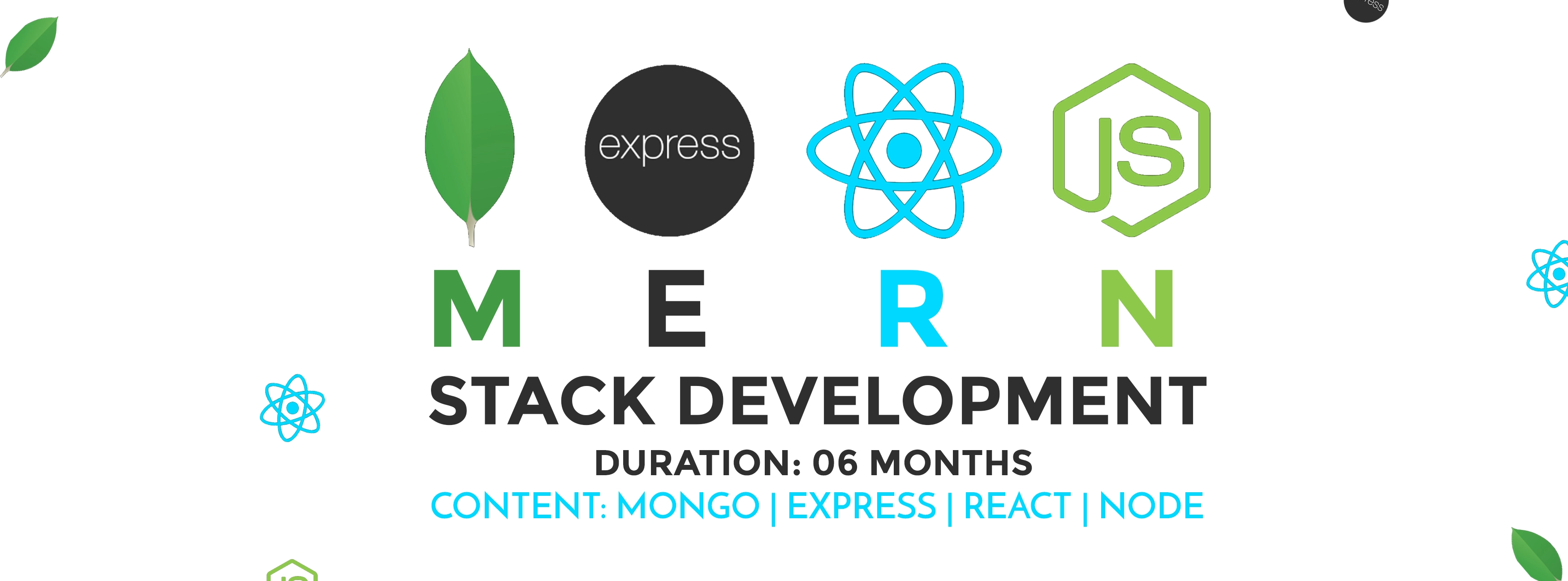 Mern Stack Development by Nweb Solution